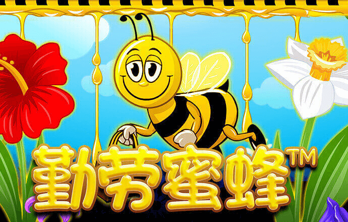 “我们赶上了好时代和干事创业的好平台”